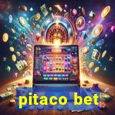 pitaco bet