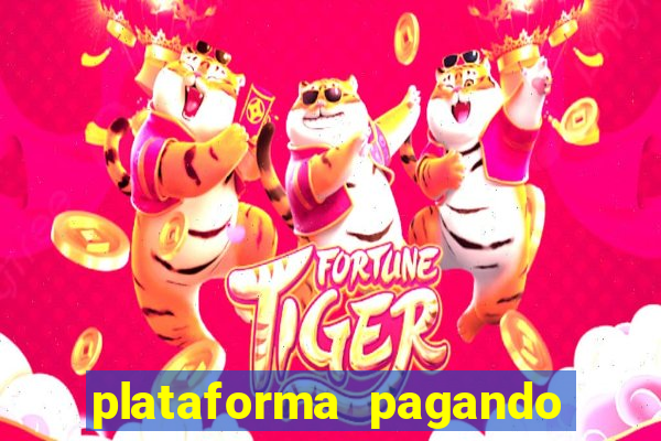 plataforma pagando no cadastro tigre