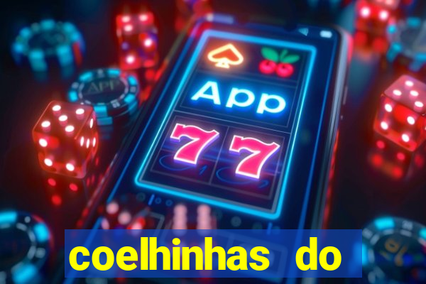 coelhinhas do brasil acompanhantes