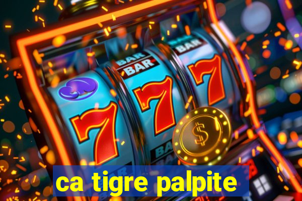 ca tigre palpite