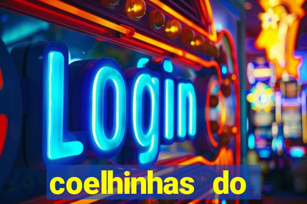 coelhinhas do brasil recife