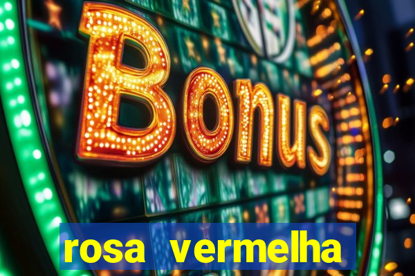 rosa vermelha (letra e cifra)