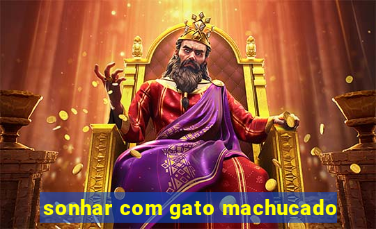 sonhar com gato machucado