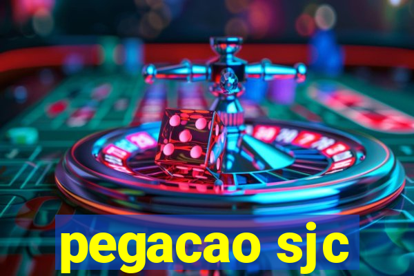 pegacao sjc