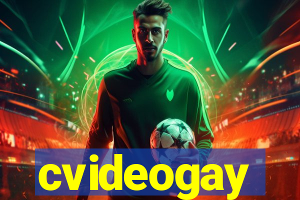 cvideogay