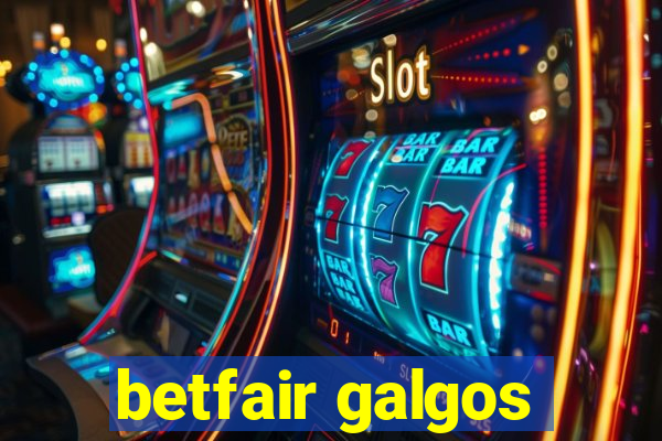 betfair galgos