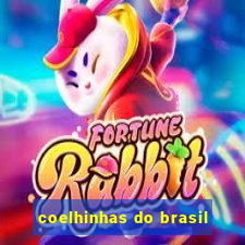 coelhinhas do brasil