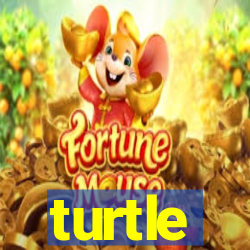 turtle-ty.com