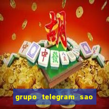 grupo telegram sao jose do rio preto