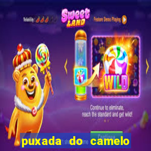 puxada do camelo no jogo do bicho