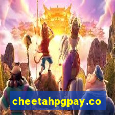 cheetahpgpay.com